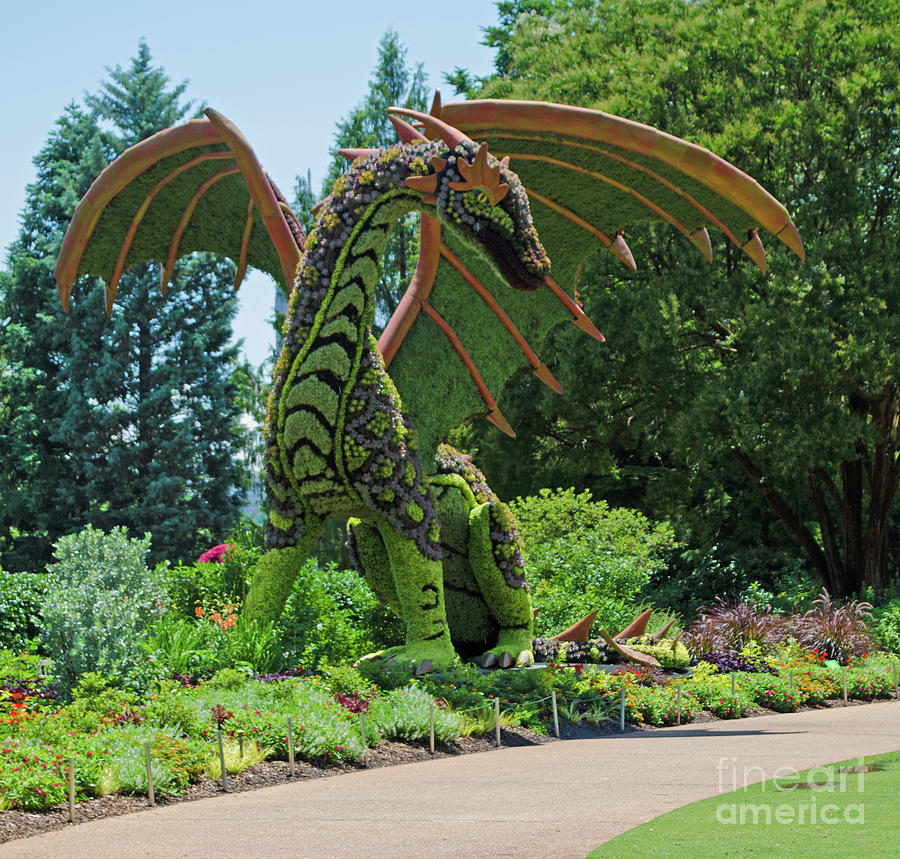 Dragon At Atlantic Botanical Garden  Photograph by Donna Brown
