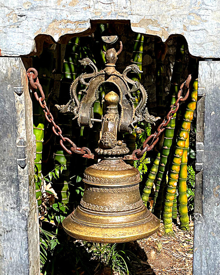 Dragon Bell Photograph by Lee Darnell