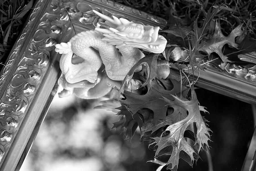Dragon Figurine Still Life with Mirror - Black and White Photograph by Katherine Nutt