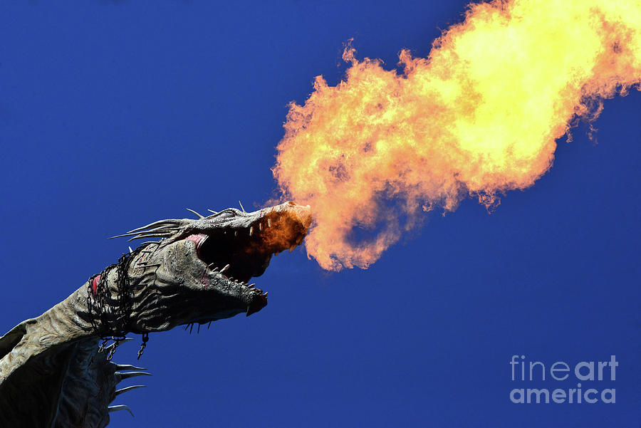 Dragon fire Photograph by David Lee Thompson