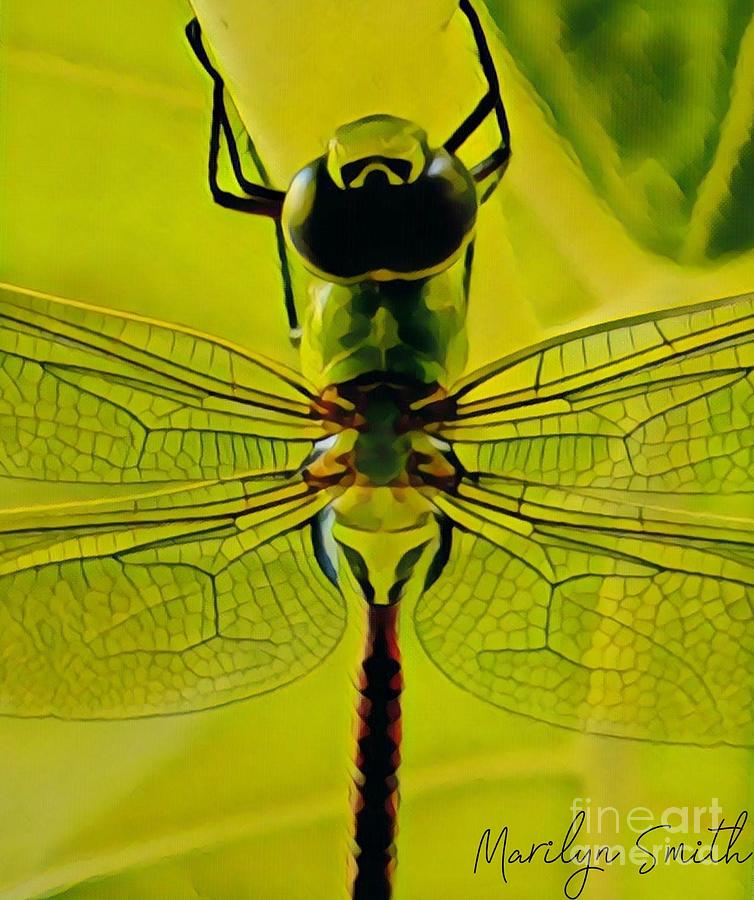 Dragon Fly Painting by Marilyn Smith