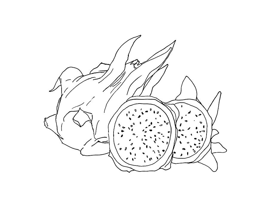 Dragon Fruit Drawing Drawing by Masha Batkova