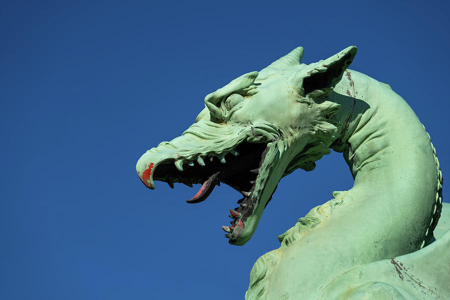 Dragon Head With Bloody Mouth Photograph by Artur Bogacki | Pixels