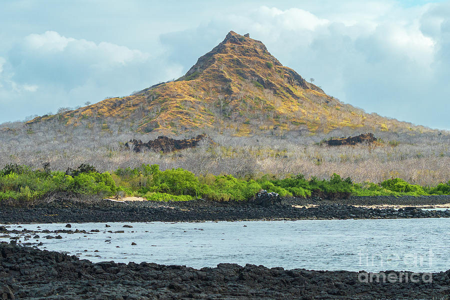 Dragon Hill of Santa Cruz Island in the Galapagos Photograph by Nancy Gleason