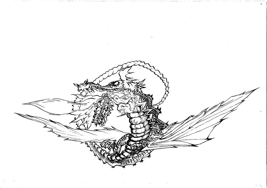 Dragon Drawing by Hugh Deasy - Fine Art America