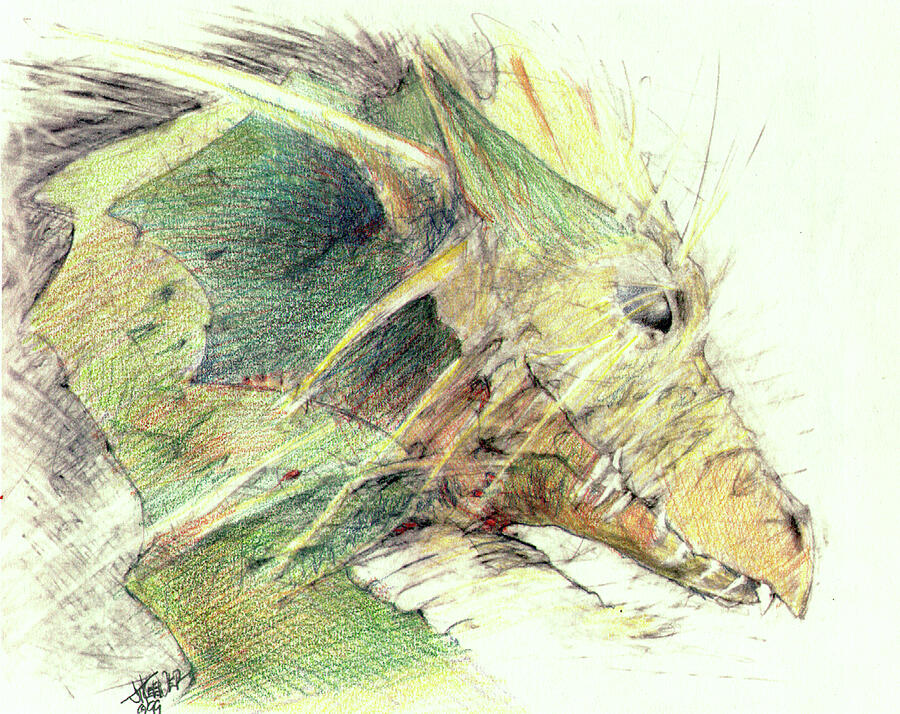 Dragon Drawing by Joel Keener Dragon Drawing by Joel Keener
