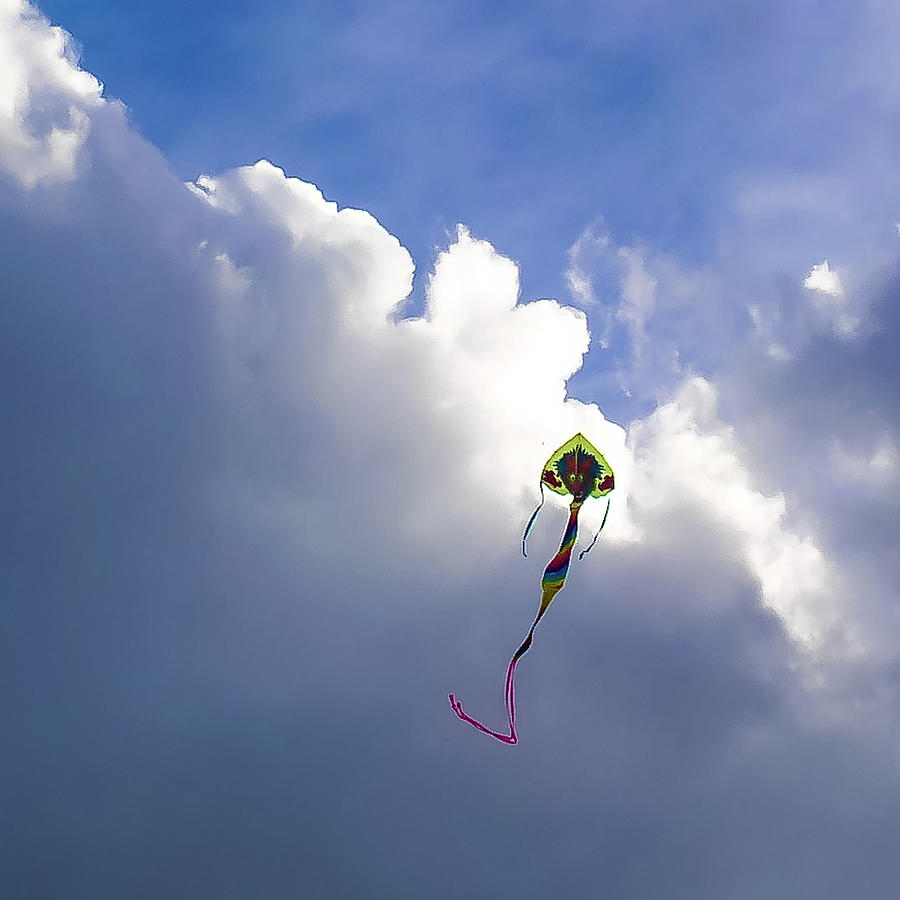 Dragon Kite Photograph by Grey Coopre