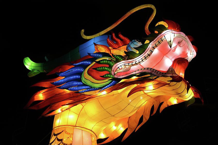 Dragon Lantern Night 2 Photograph by Maggy Marsh