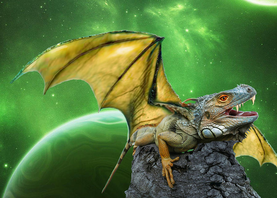 Dragon Digital Art - Dragon Morph by Shere Crossman
