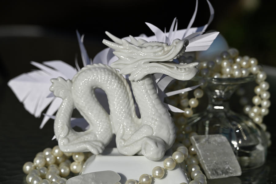 Dragon Still Life in Whites Photograph by Katherine Nutt