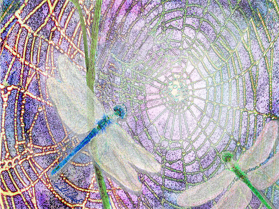 Dragonflies On Spider Web Digital Art