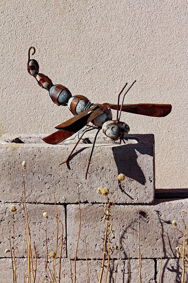 Dragonfly Art Photograph by Jennifer Robin