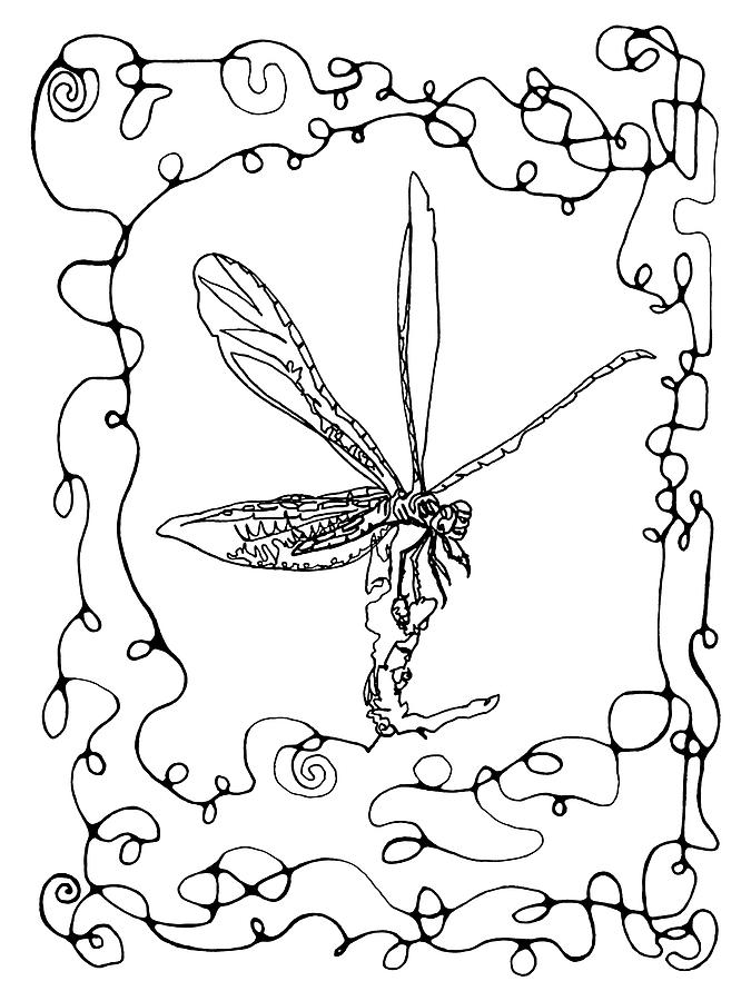 Dragonfly Continuous Line Drawing Drawing by Katherine Nutt