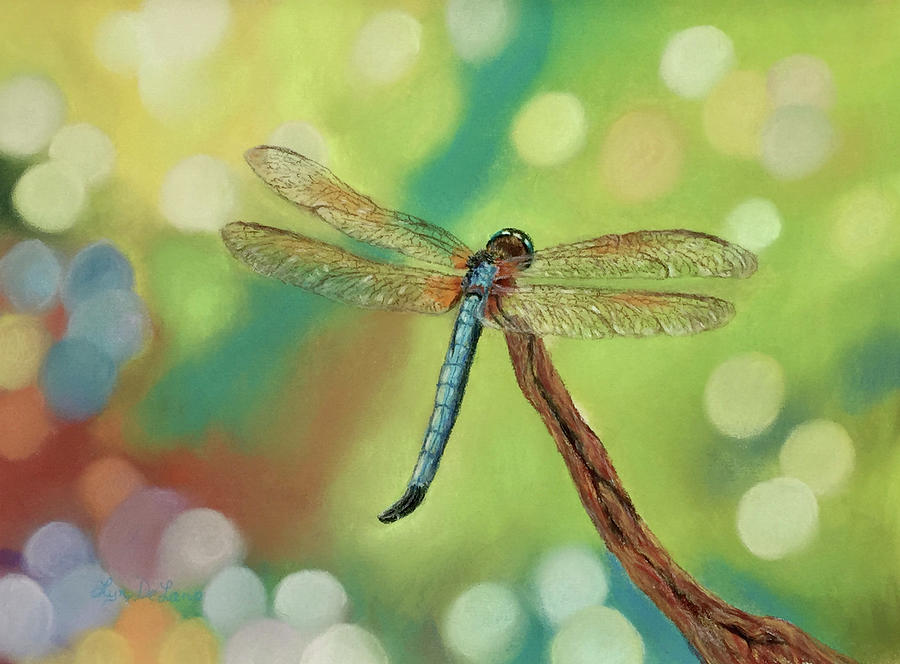 Dragonfly Dance Pastel by Lyn DeLano