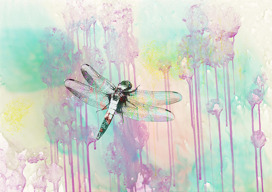 Dragonfly Day Dream Painting by Sue Capuano