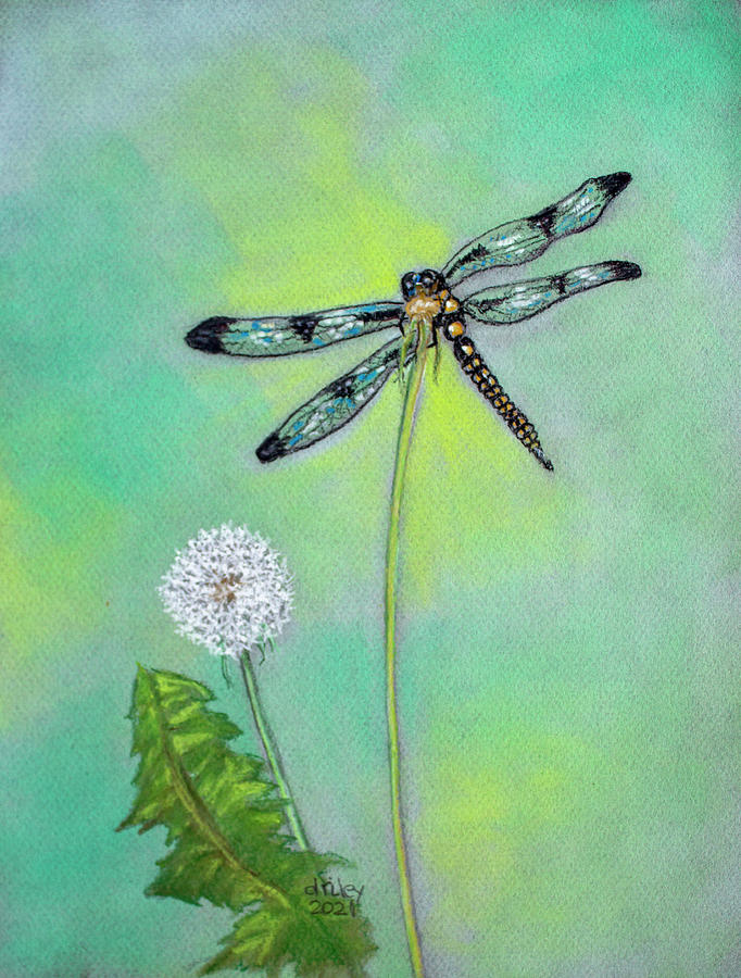 Dragonfly Painting by Dorothy Riley