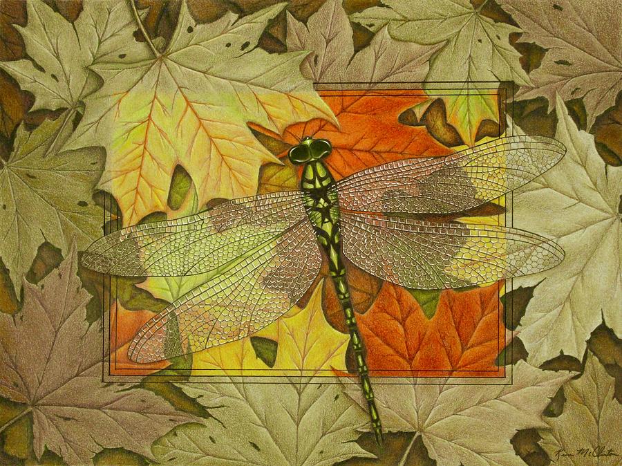 Dragonfly Fall Drawing by Kim McClinton
