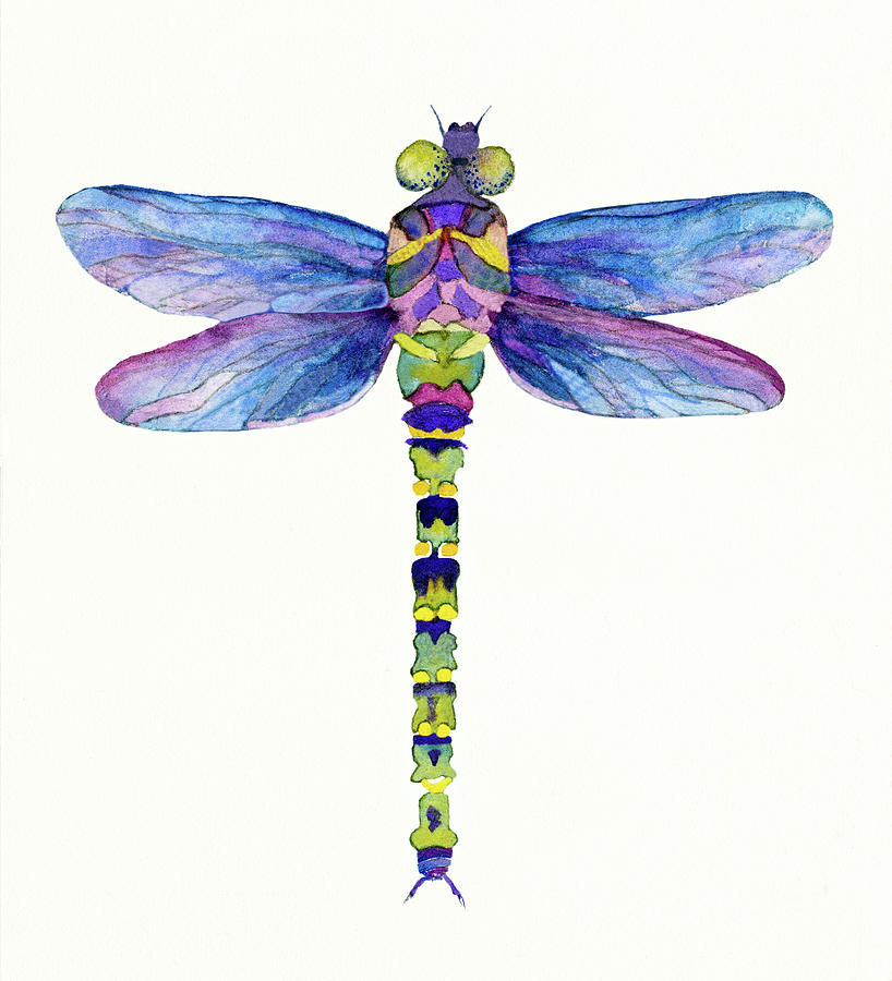 Dragonfly Illustration Painting by Deborah League