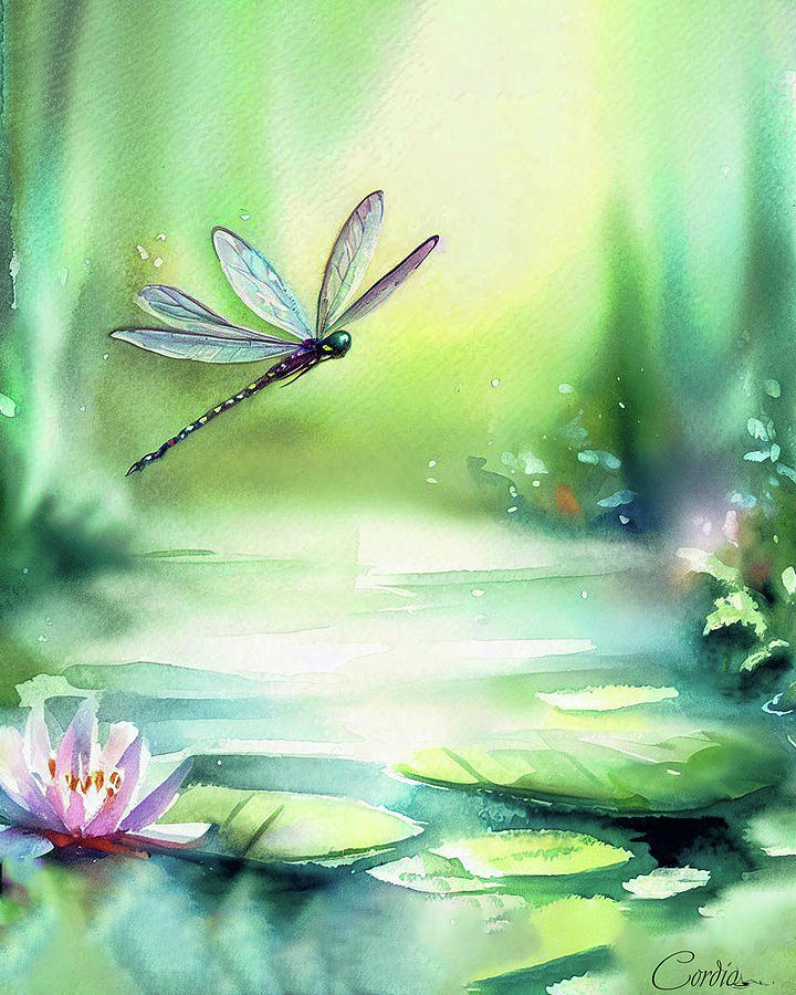 Dragonfly In A Lily Pond Digital Art by Cordia Murphy