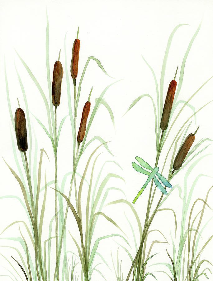Dragonfly In Cattails Painting by Norma Appleton