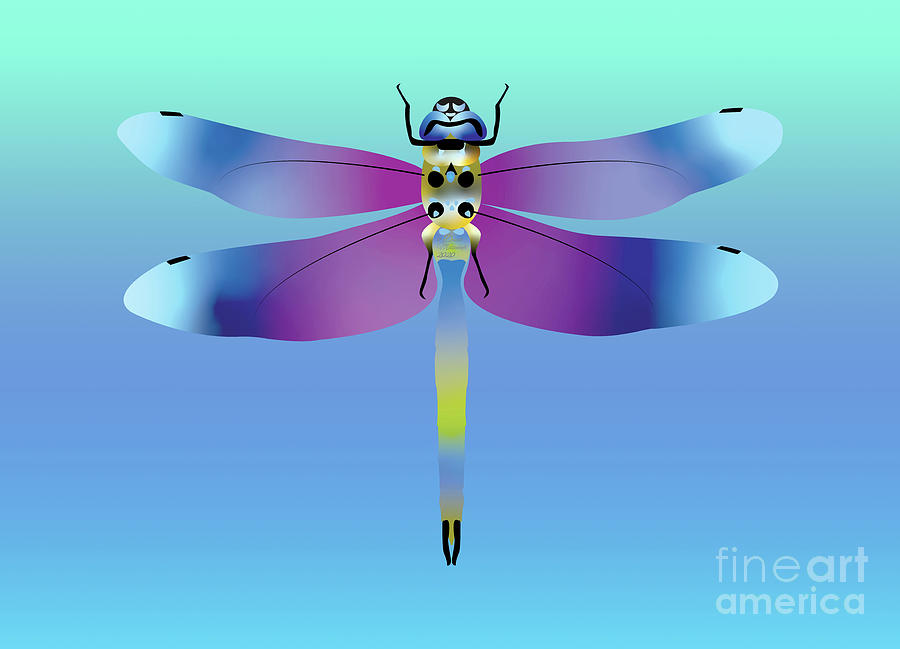 Dragonfly, Insect, Digital Art by David Millenheft