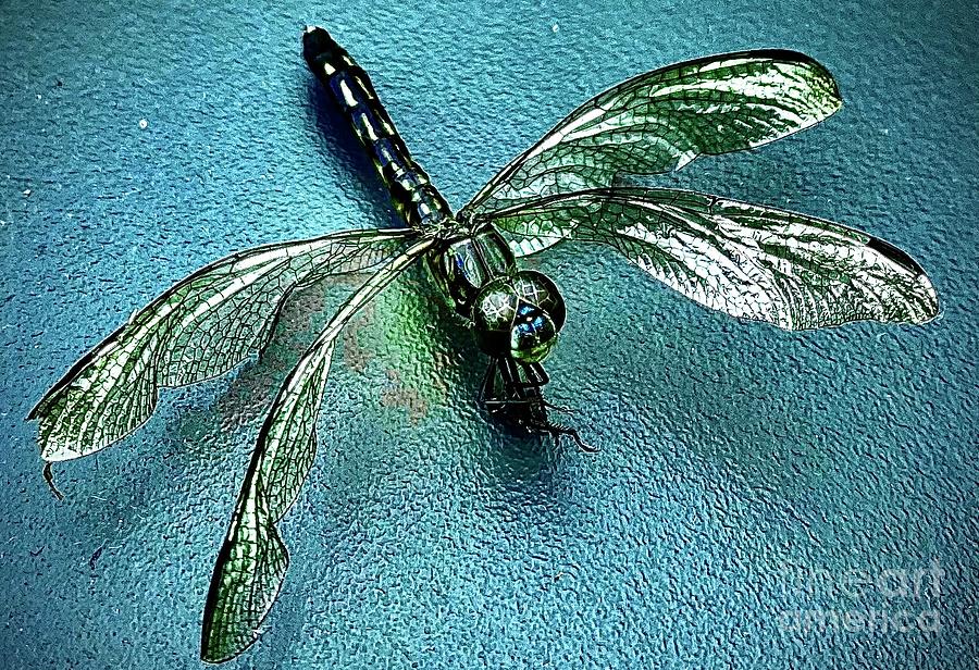 Dragonfly Marvel Photograph by Angela Zanowick - Pixels