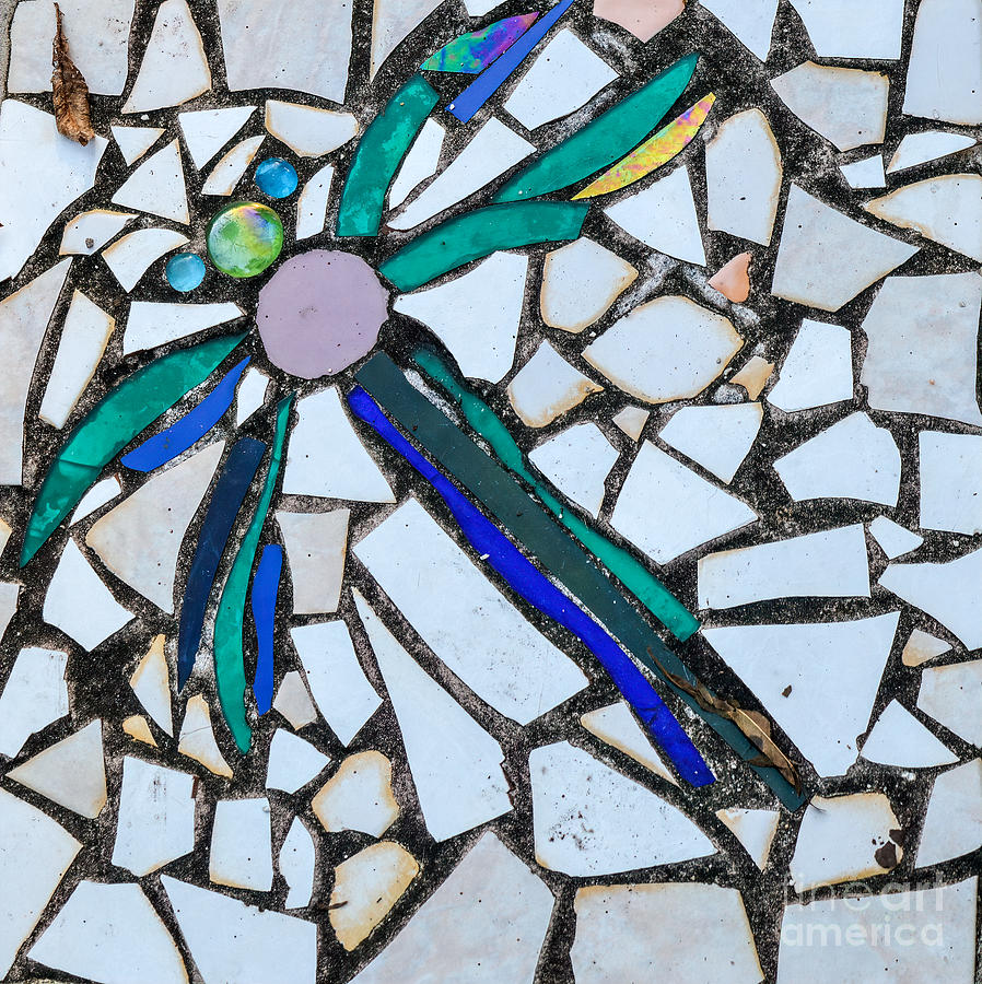 Dragonfly Mosaic Photograph