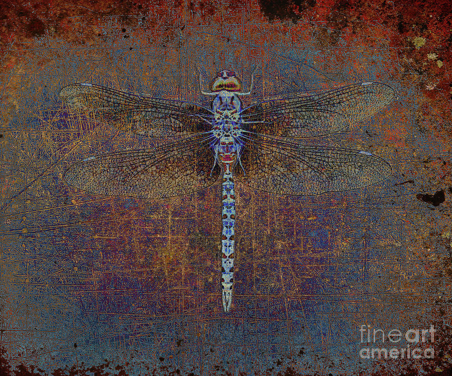 Dragonfly on a Distressed Purple and Orange Background Digital Art by Fred Bertheas