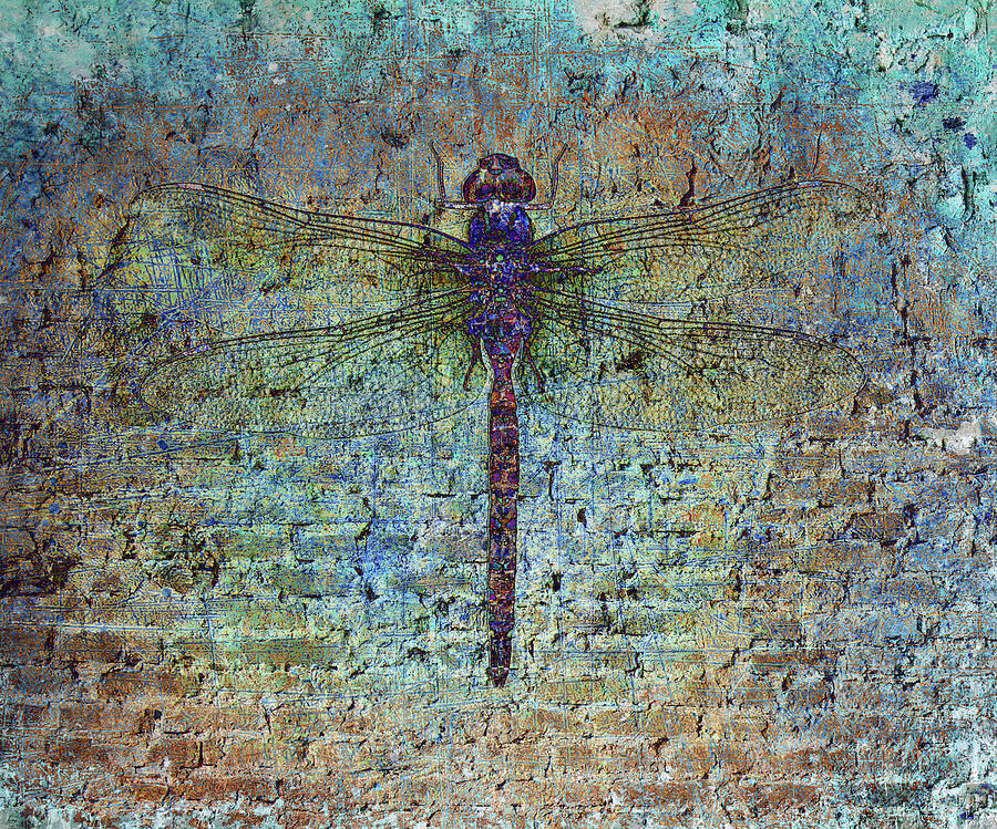 Dragonfly on Distressed Multicolor Brick Wall Digital Art by Freddy B Dragonfly on Distressed Multicolor Brick Wall Digital Art by Freddy B