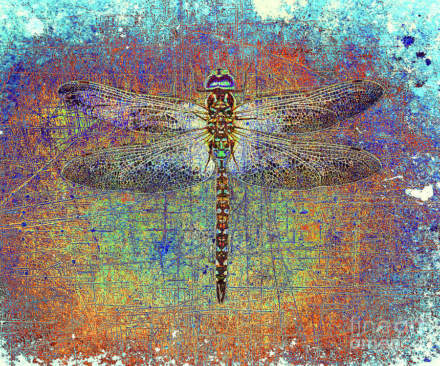 Dragonfly on Multicolor Background Digital Art by Fred Bertheas