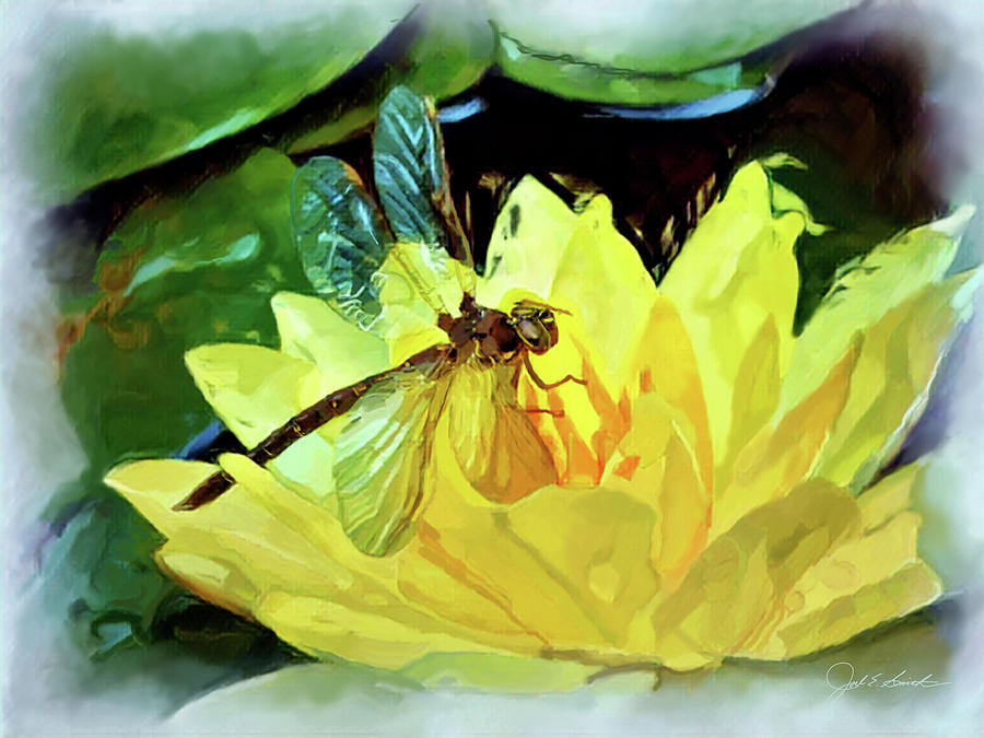 Dragonfly on Waterlily   Painting by Joel Smith
