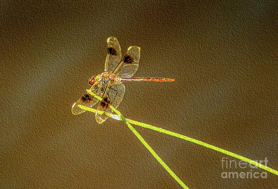 Dragonfly Digital Art by Patti Powers