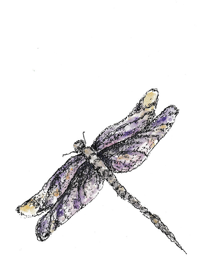 Dragonfly - Purple Majesty Painting by Barbara Wirth