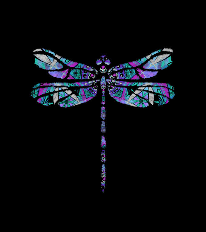 Dragonfly silhouette 5 Digital Art by Eileen Backman