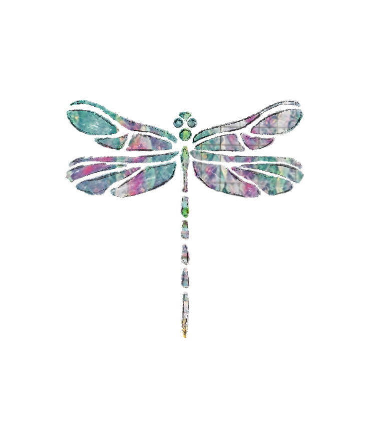 Dragonfly silhouette  Digital Art by Eileen Backman
