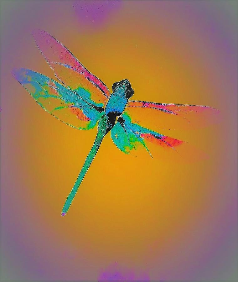 Nature Photograph - Dragonfly Transformation by Elizabeth Pennington