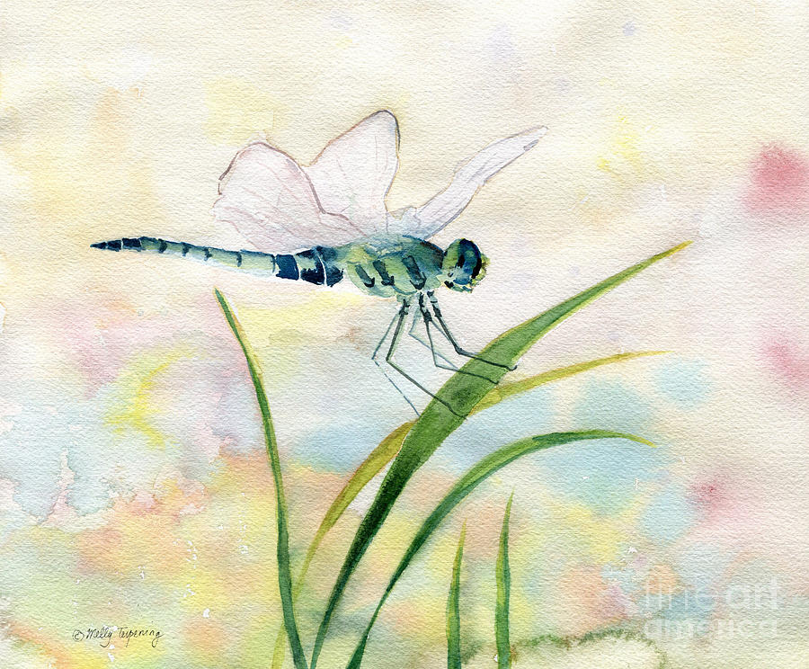 Nature Painting - Dragonfly Watercolor by Melly Terpening