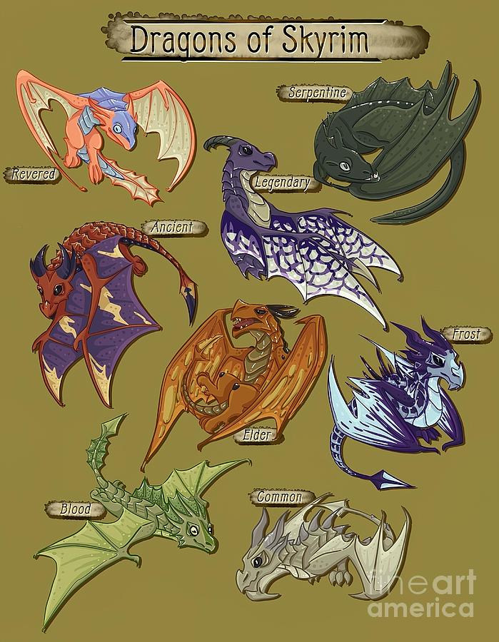 skyrim dragon types