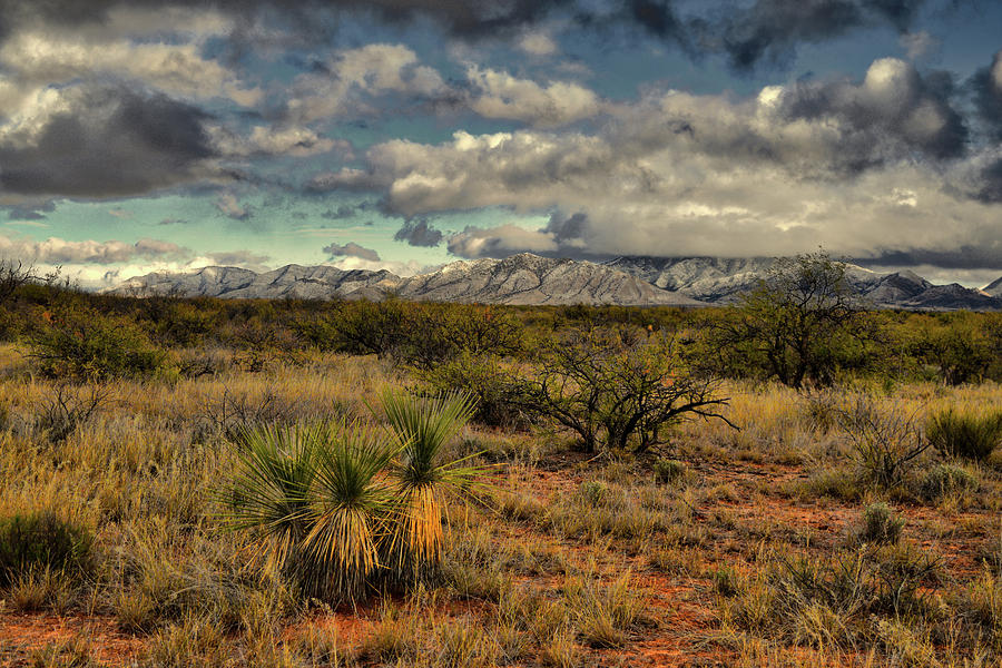 Dragoon Mountains in Arizona Photograph by Chance Kafka