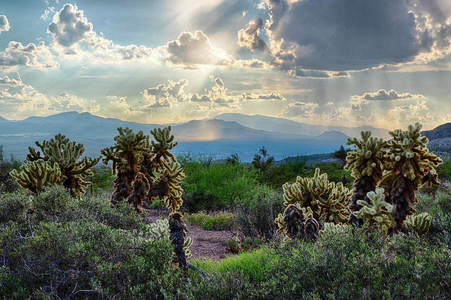 Dramatic Arizona Sunset Photograph by Dave Dilli