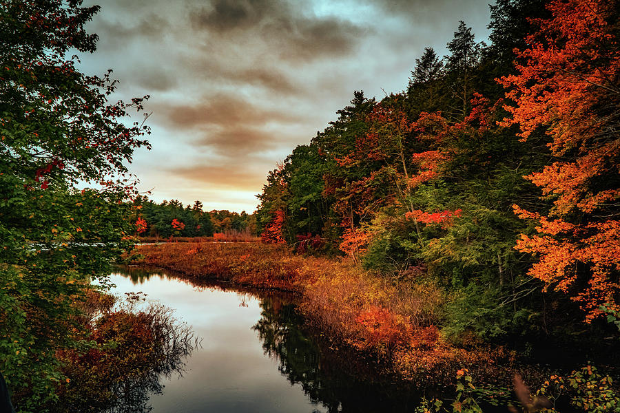 Dramatic Autumn landscape b Photograph by Lilia S