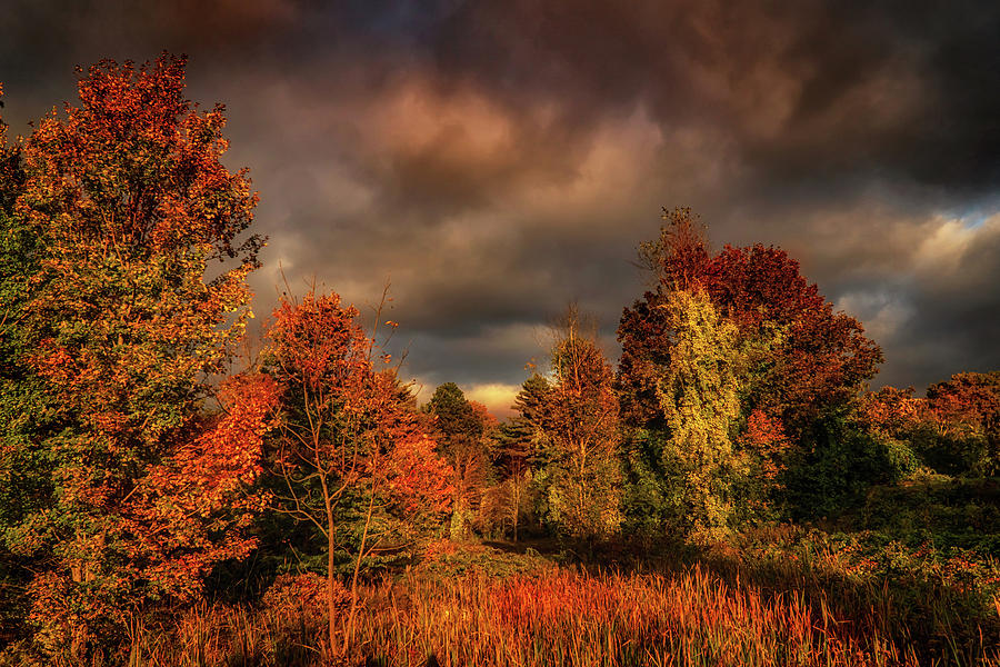 Dramatic Autumn sky landscape Photograph by Lilia D