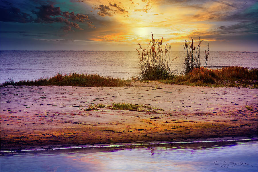 Dramatic Beach Sunset With Reeds Photograph by Dan Barba