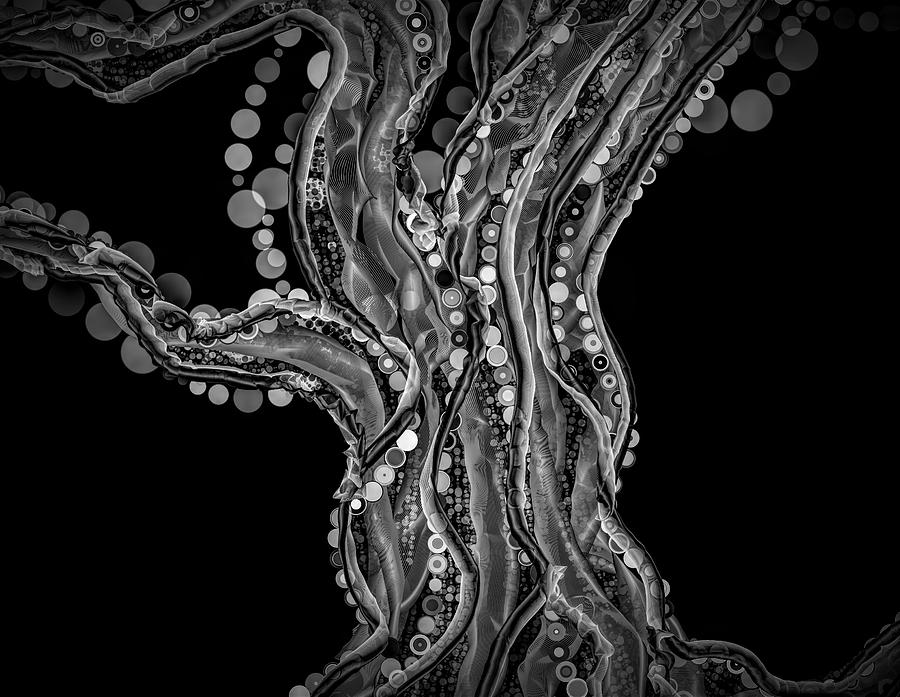 Dramatic Black And White Wondrous Twisted Tendrils Digital Art by Joan Stratton