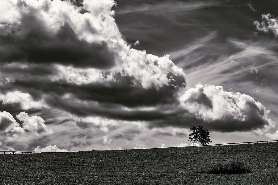 Dramatic Clouds over a Tree at Sky Meadows Park - Virginia Photograph by Stuart Litoff