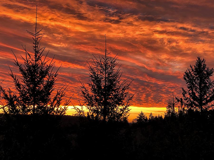 Dramatic Fall Sunrise Photograph by Jerry Abbott