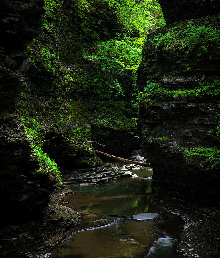 Dramatic Light In Watkins Glen Gorge Photograph by Dan Sproul