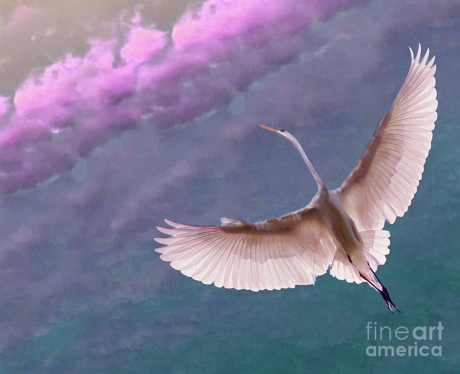 Egret Digital Art - Dramatic Sky by Melinda Hughes-Berland