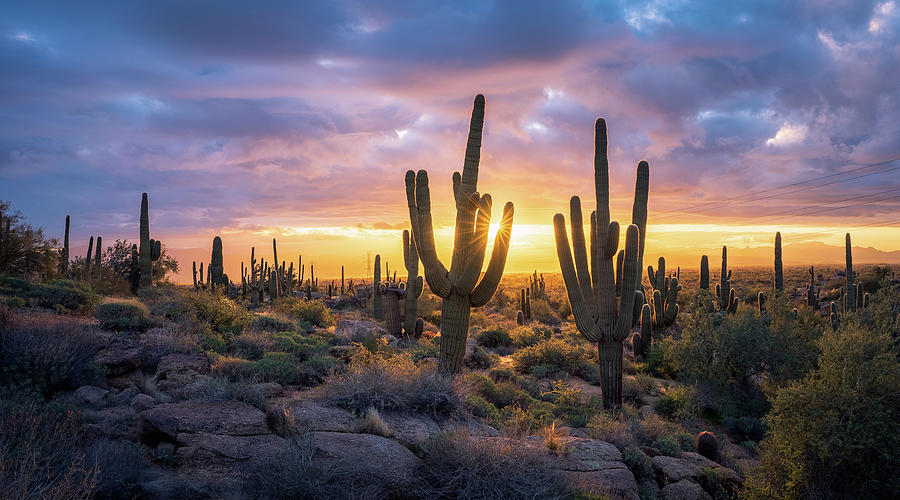 Dramatic Sonoran Sunrise Photograph by Eric Mischke - Fine Art America