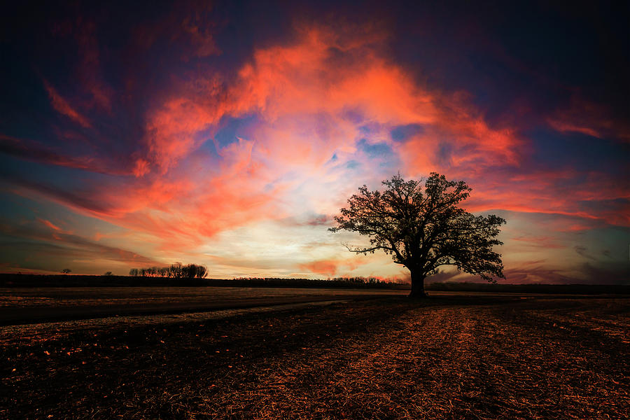 Dramatic Sunset McBaine Burr Oak Columbia Missouri GRK2030_10292022 Photograph by Greg Kluempers